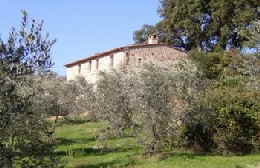 Podere Usignolo
